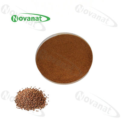 Semen Raphani Extract Herbal Extract Powder 0.8-1.2% Sinapine / USP / EP / ChP