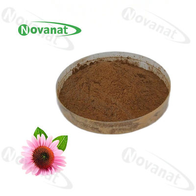Echinacea Purpurea Extract 4% Polyphenols 1% 2% 4%/Chicoric Acid/Clean Label