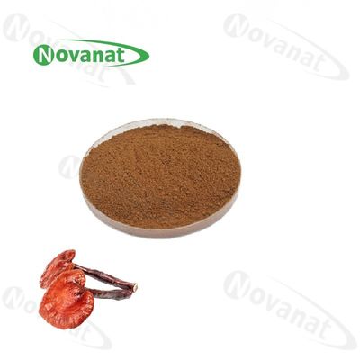 Ganoderma Lucidum Extract Powder / Reishi Mushroom Extract 10%-50% Polysaccharides / Allergen Free