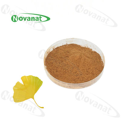 jakość  100% Nature Gingko Biloba Leaf Extract Powder/USP/E.P/CP15/Dietary Supplements Ingredients fabryka