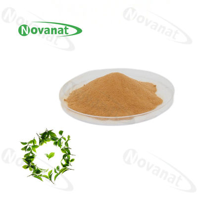 jakość  100% Natural Extract Green Tea L-Theanine 20% / 30% / 40% Natural L-Theanine fabryka