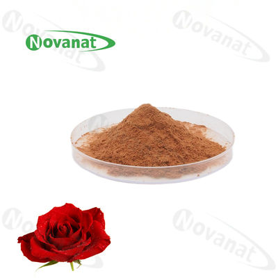 jakość  Rose Flower Extract Powder 4/120% And 25% Polyphenols/Food Beverage fabryka