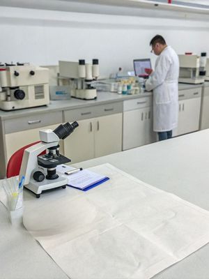 Pasteryzowany Parabacteroides distasonis PD001 / Postbiotics / Off White To Gray Powder