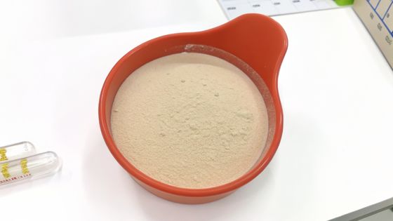 Pasteryzowany Parabacteroides Distasonis PD001 / Postbiotyki / Od białego do szarego proszku stosowanego w napojach/Produkt najlepszej jakości