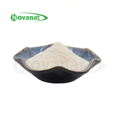 Bifidobacterium Longum Subsp. Longum BL88-Only / Vegano / bez alergenów / glutenu / mleczne
