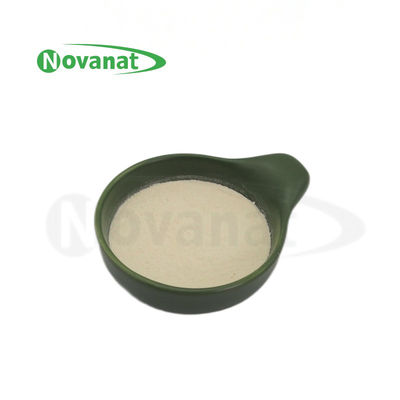 Lacticaseibacillus Paracasei LPC28 / 400 miliardów CFU/g / wegetariański / wolny od alergenów / gluten / produkty mleczne